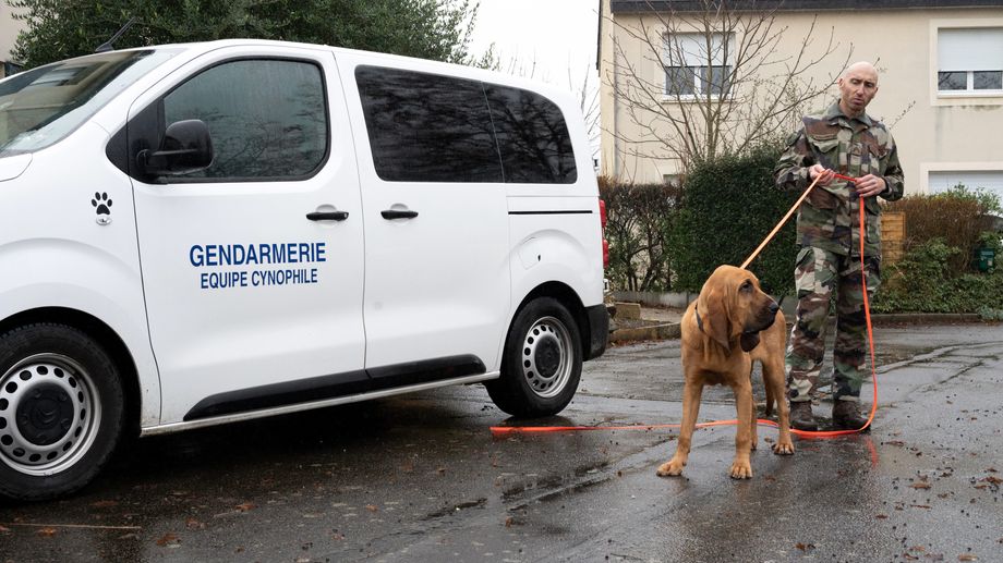 En Loire-Atlantique, en l'espace de deux jours, une deuxi�me personne port�e disparue retrouv�e vivante