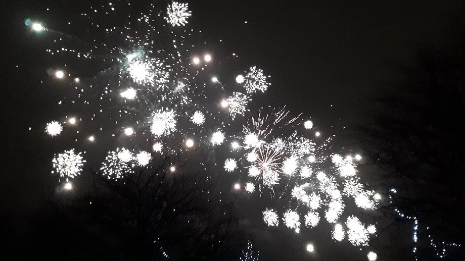 Incendies dans la Hague : la mairie interdit les feux d'artifice jusqu'� la fin du mois de juillet 