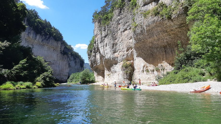 Alerte aux cyanobact�ries dans les Gorges du Tarn